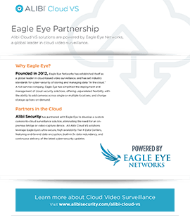 Eagle Eye Partnership